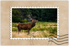 Poszterek 60x40 Óriás szarvas Tájkép