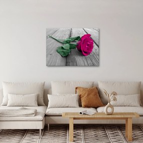 Kép - Rózsaszín rózsa zöld szárral (70x50 cm)
