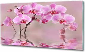 Fotótapéta falra edzett üveg Nárciszok 100x70