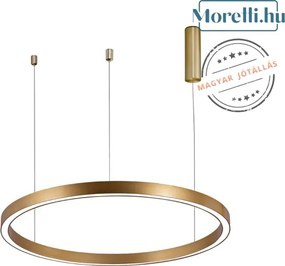 BRAYTRON BH16-09186 LINA-PDS Modern Led Függesztett Lámpa LED IP20