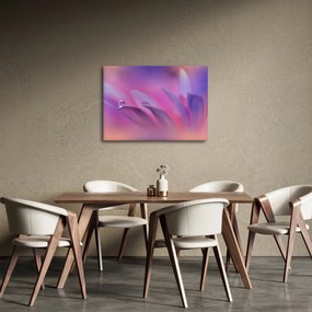 Kép - Csepp a virágon (70x50 cm)