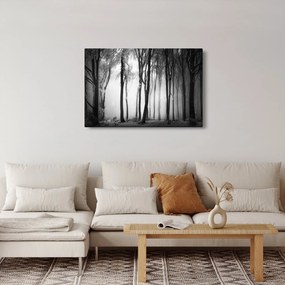 Kép - Farkas a sötét erdőben (90x60 cm)