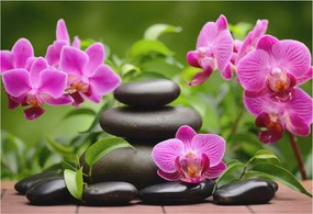 Stílusos Dekoratív Fotótapéta Flizelin Orchidea kövek 152x104 Ragasztó