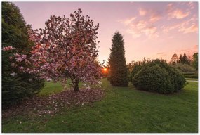 Poszterek 120x80 Kilátás Tájkép