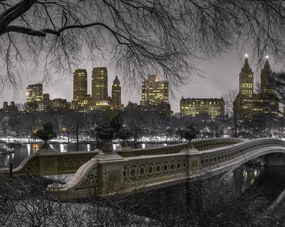 Poszter 76x60,5cm Központi park Manhattan panorámával, Assaf Frank