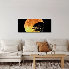 Árnyékok a holdfényben képe (120x50 cm)