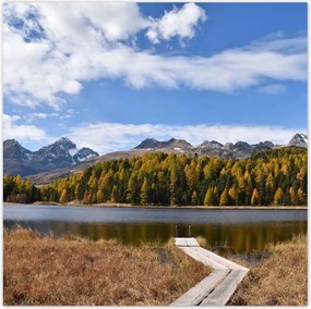 Poszterek 70x70 Tájkép Fa híd