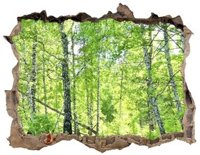 3d-s lyuk vizuális effektusok matrica Nyírfa erdő nd-k-84161730