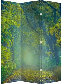 Paraván - Fákkal szegélyezett út (126x170 cm)