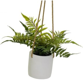 Műnövény (magasság 24 cm) – Casa Selección