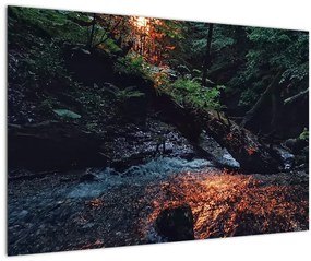 Hegyi folyó képe (90x60 cm)