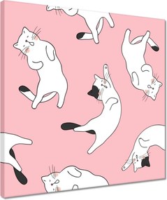 Vászonkép 40x40 Cica Cicák Macskák