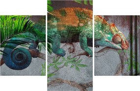 Kép - kaméleon (90x60 cm)