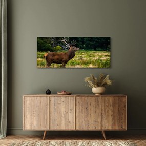 Szarvas képe (120x50 cm)