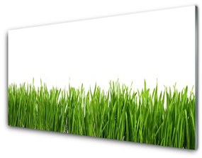 Üvegfotó Grass Nature Plant 100x50 cm 2 fogas