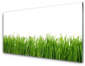 Üvegfotó Grass Nature Plant 120x60cm