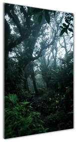 Üvegfotó Az esőerdő osv-128961435