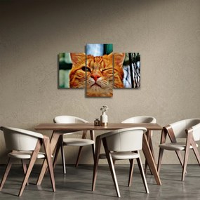 Egy pislogó macska képe (90x60 cm)