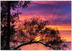 Poszterek 100x70 Tó Fa Nyugat