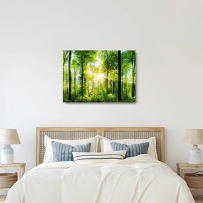 Kép - Hajnal az erdőben (üvegen) (70x50 cm)