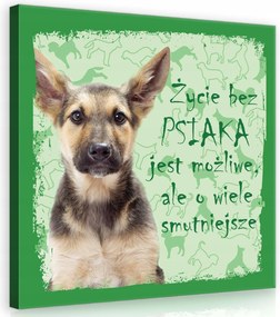 Vászonkép 40x40 Kiskutya kutya aranyos szerelem állatok kutya sziluettek