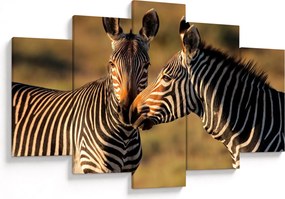 Kép - Két zebra (150x105 cm)