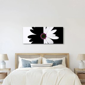 Egy fekete-fehér virág képe (120x50 cm)