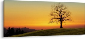 Egy fa képe a mezőn (120x50 cm)