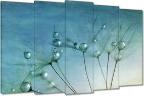 Vászonkép 150x95 Pitypang Virág Virágok