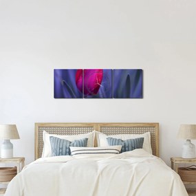 Tulipán bimbó képe (órával) (90x30 cm)