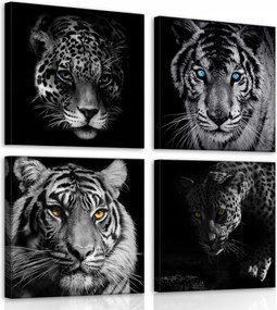 Vászonkép nappaliba modern Tigris vászon sorozat 4db-os