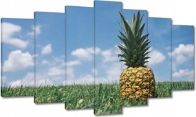 Festmények 140x80 Ananász tájkép