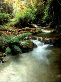 Flizelin fotótapéta Folyó az erdőben Nap vízesések zöld 206x275 +ragasztó