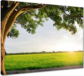 Vászonkép 50x40 Misztikus naplemente