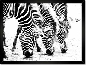 Poszterek keretben 40x30 Zebra csíkos