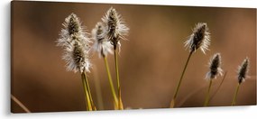 Kép - Fű (120x50 cm)