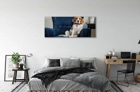 Canvas képek ül kutya 120x60 cm