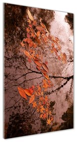 Egyedi üvegkép Őszi levelek osv-94898362