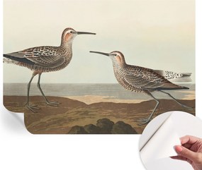 Fotótapéta Öntapadós Dekoratív Tapéta Madár sziluettek 312x219 cm