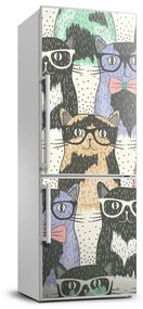 Matrica hűtőre Macskák szemüveg FridgeStick-70x190-f-58024892