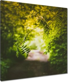 Vászonkép 90x90 Zöld levelek Levelek