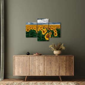 Napraforgó mező képe (90x60 cm)