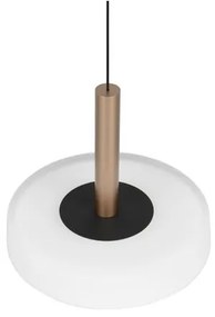 Fekete-fehér-aranyszínű LED dimmelhető függőlámpa üveg búrával ø 22 cm Celeste – Trio