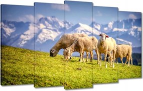 Vászonkép 100x60 Juh legeltetés Bárányok