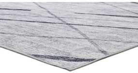 Világosszürke szőnyeg 160x230 cm Class – Universal