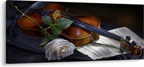 Kép - Rózsa és hegedű (120x50 cm)
