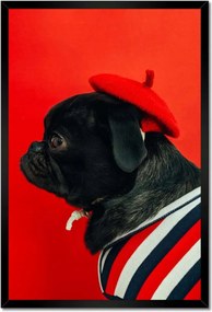 Poszterek keretben 40x60 Kutya Kutyák