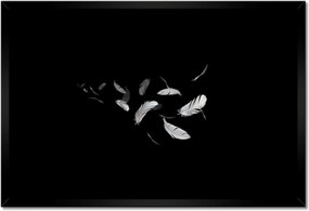 Poszterek keretben 60x40 Repülő madártollak