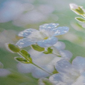 Kép - Finom virágok (120x50 cm)