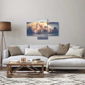 Egy kép a macskáról a padlón (90x60 cm)
